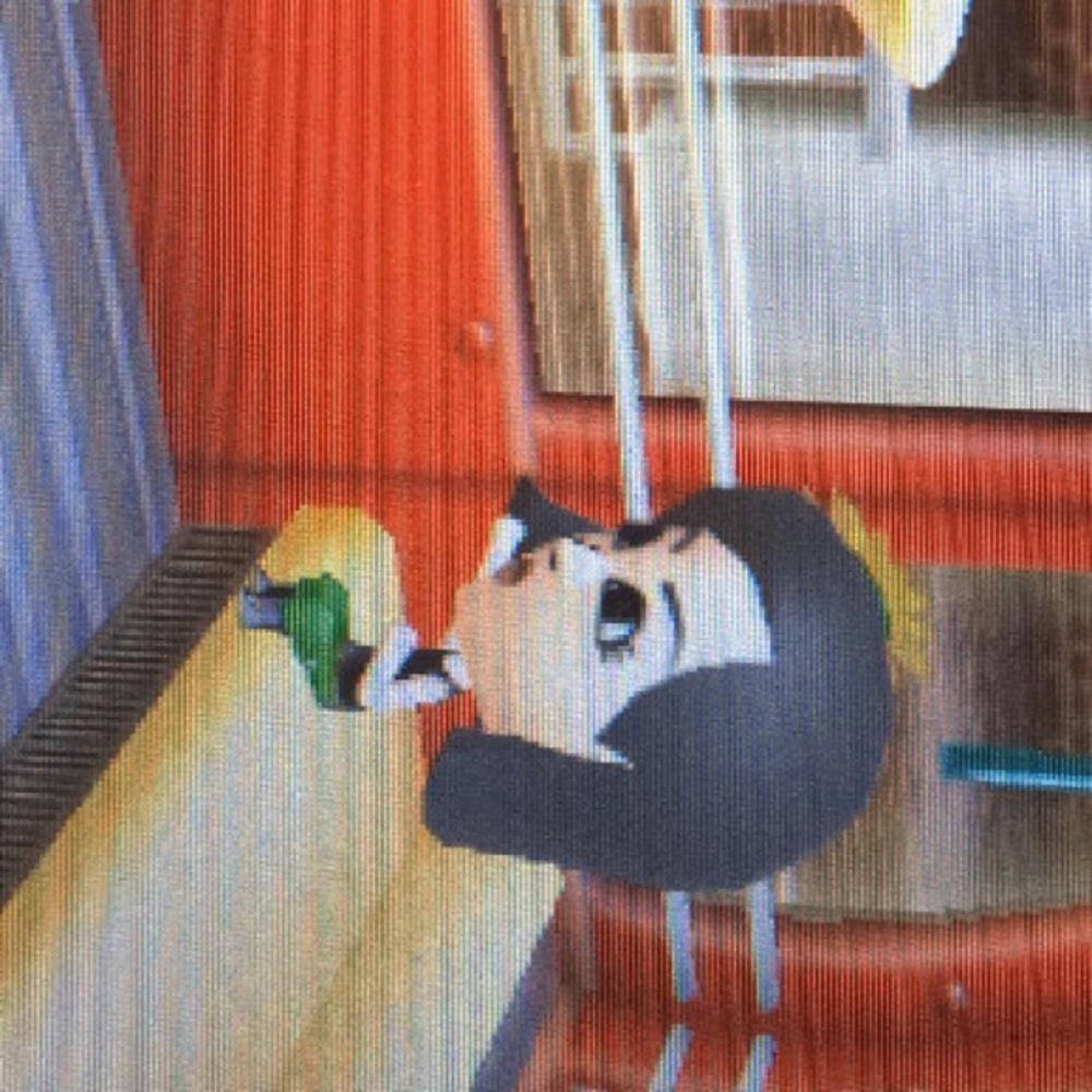 Meet your Posher, Kira